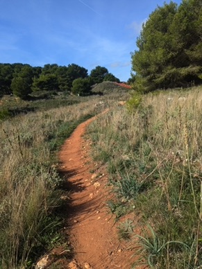 promenade pour nous rendre .....