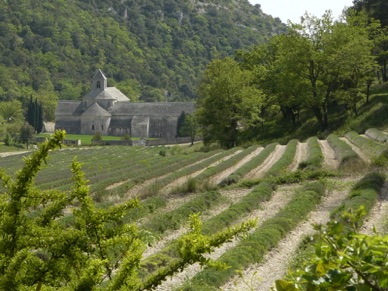 Abbaye de SENANQUE