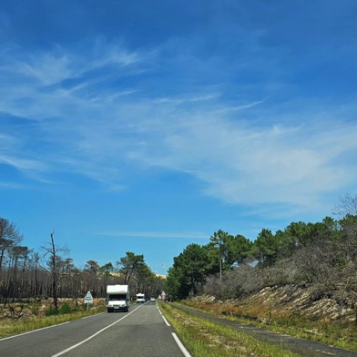 un an apr&egrave;s les incendies 
de l'&eacute;t&eacute; 2022 ...