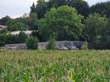 Les piles sont dot&eacute;es d'un bec vers l'amont pour r&eacute;duire les remous