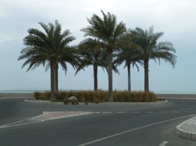 pr&egrave;s de l'embarcad&egrave;re pour l'Ile de Sir Bani Yas