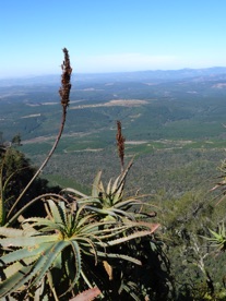 long de 30 kms environ