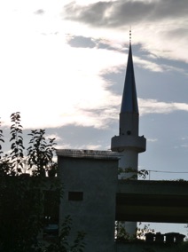 la mosqu&eacute;e