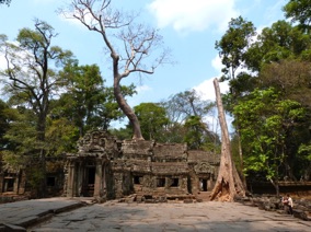 Maintenant nous voici &agrave; Ta Prohm