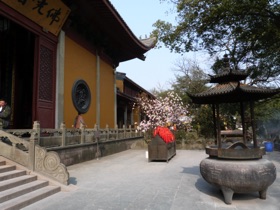 cach&eacute; dans les montagnes vertes et luxuriantes de Wulin : le hall de m&eacute;decine du temple
