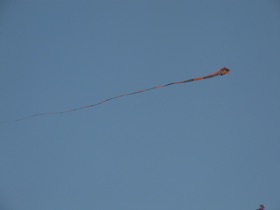 de nombreux cerfs volants dans le ciel