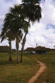 sur la Route de Pinar del Rio