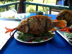 2006 : VIETNAM