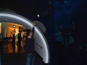 Visite de l'Aquarium de Duba&iuml; Mall