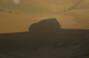 sortie dans le d&eacute;sert