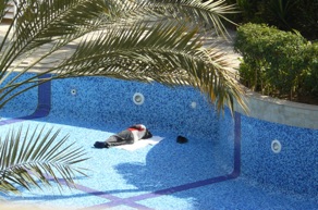 mais h&eacute;las la piscine est vide .. du moins il n'u a pas d'eau !!!