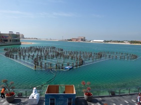 Nouvelle installation &agrave; LA POINTE