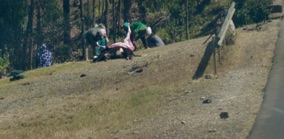 Ici on tue et d&eacute;p&egrave;ce une vache en pleine nature mais pr&egrave;s d'une rivi&egrave;re !!