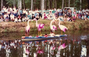 les flamants roses