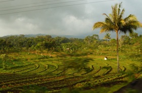 rizières et autres cultures rizières et autres cultures