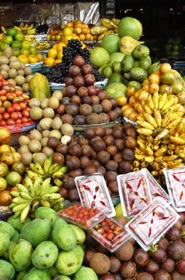 avec de nombreux fruits avec de nombreux fruits