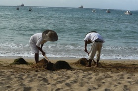 les employés de notre hôtel au travail sur la plage les employés de notre hôtel au travail sur la plage