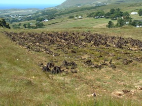 tourbi&egrave;re