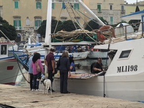 les poissons sont vendus sur les bateaux au retour de la p&ecirc;che !