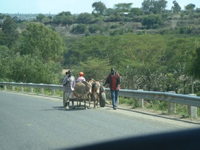 sur le bord de la route &hellip;.