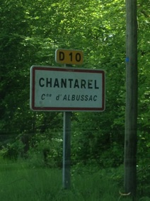 "Chantarel" "Chantarel"