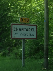 "Chantarel"