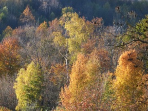 les couleurs d'automne y sont magnifiques !