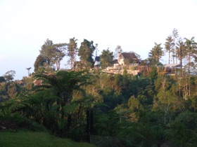 Cameron Highlands