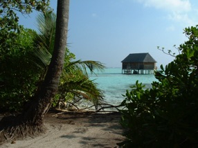 bungalow "lune de miel"