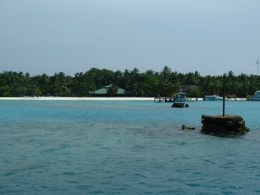 Retour sur notre &icirc;le