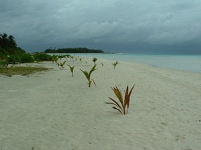 on retrouve le sable fin et blanc