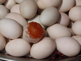 oeufs couv&eacute;s