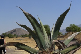 Arriv&eacute;e &agrave; TEOTIHUACAN