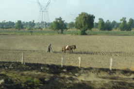 Travaux agricoles