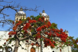 Eglise Santo Domingo