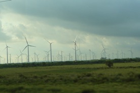 un champ d'&eacute;oliennes tr&egrave;s important