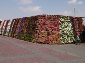 mur de fleurs
