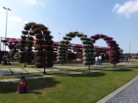 vo&ucirc;tes de fleurs