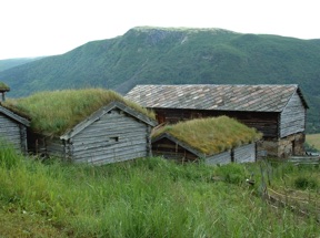 les toits des maisons sont recouverts d'herbe pour prot&eacute;ger du froid