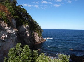TE PARE POINT TE PARE POINT
