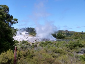 le geyser Pöhutu qui jaillit jusqu'à 20 fois par jour et projette des gerbes d'eau chaude jusqu'à 30 m de haut le geyser Pöhutu qui jaillit jusqu'à 20 fois par jour et projette des gerbes d'eau chaude jusqu'à 30 m de haut