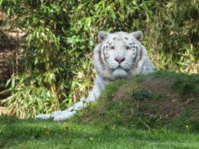 ZOO de LA FLECHE