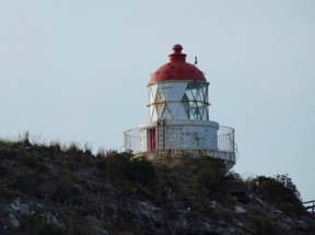 Phare de Taiaroa Head (12m)
NOUVELLE ZELANDE Phare de Taiaroa Head (12m)
NOUVELLE ZELANDE