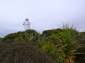 Phare de Cape Foulwind (9m)
NOUVELLE ZELANDE Phare de Cape Foulwind (9m)
NOUVELLE ZELANDE