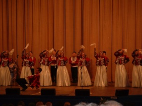 soir&eacute;e spectacle folklorique