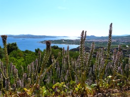 depuis en haut un magnifique panorama s'&eacute;tale &agrave; nos pieds.