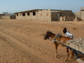 Dans une rue sablonneuse le cheval a du mal &agrave; avancer !