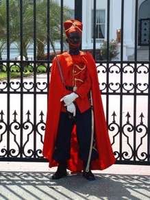 Un tirailleur s&eacute;n&eacute;galais monte la garde devant le Palais Pr&eacute;sidentiel
