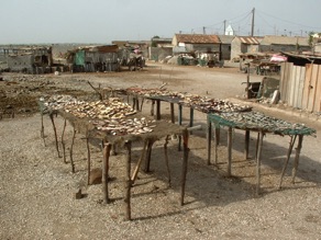 s&eacute;chage du poisson