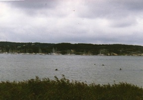 Fjord